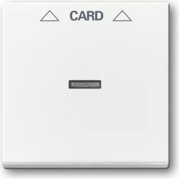 Busch-jaeger 2CKA001710A3641 Networking Device White