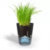 GEFU BOTANICO Herb pot Freestanding Plastic, Stainless steel Black