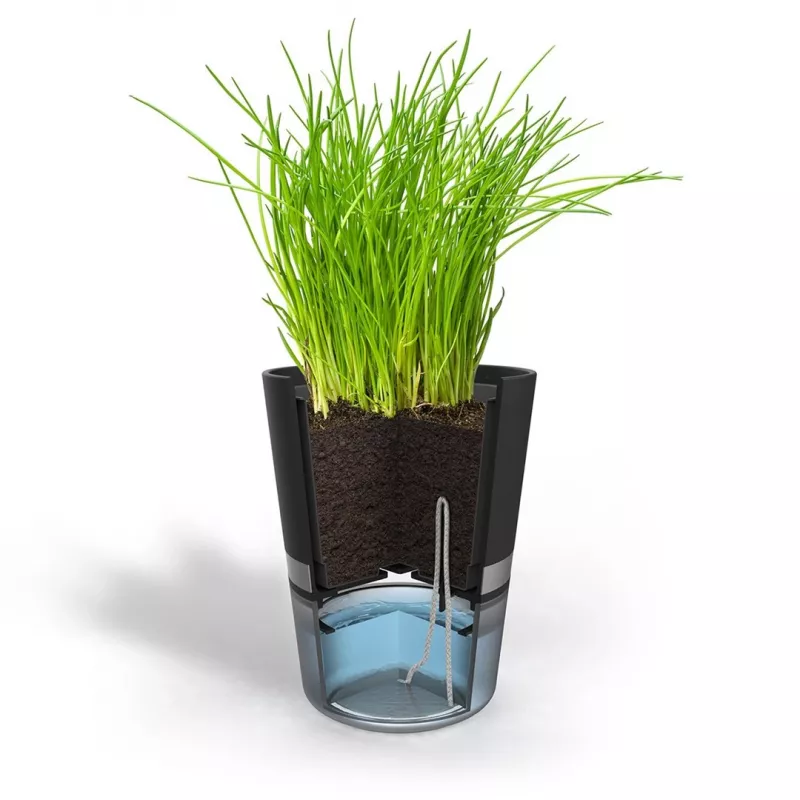 GEFU BOTANICO Herb pot Freestanding Plastic, Stainless steel Black