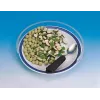 Transparent plate cover 25-28 cm