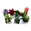 Lego Icons 10309 Succulents