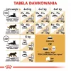 Royal Canin FBN Maine Coon Adult Dry Cat Food, 4 kg
