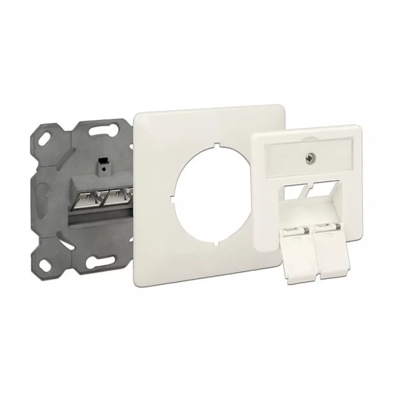 Socket outlet RJ-45 DeLOCK 86195