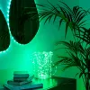 LED garland Twinkly TWD200STP-TEU multicolour indoor strip, 5 cm spacing, IP20, transparent cable