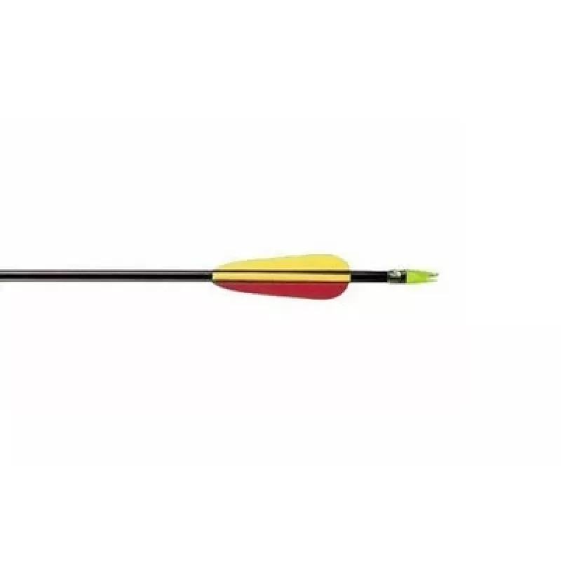 Arrow POE LANG VD-065K 30 inch (762 mm) fiberglass shaft, green, single, for target and practice