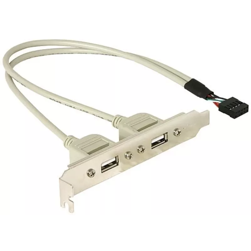 Slotbracket 1x internal USB 5pin to 2x USB2.0 external DeLOCK 71000