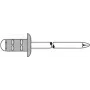 Blind Rivet GESIPA PG Al/A2 3.2x8 mm RAL9005 Black, pack of 1000