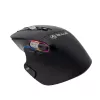 Wireless Mouse Tellur TLL491261 USB