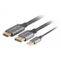 Lanberg CA-HDDP-20CU-0018-BK video cable adapter 1.8 m DisplayPort HDMI + USB Black, Silver