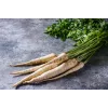 Olomouc Parsley Toraf Vegetable Seeds, 5g Package
