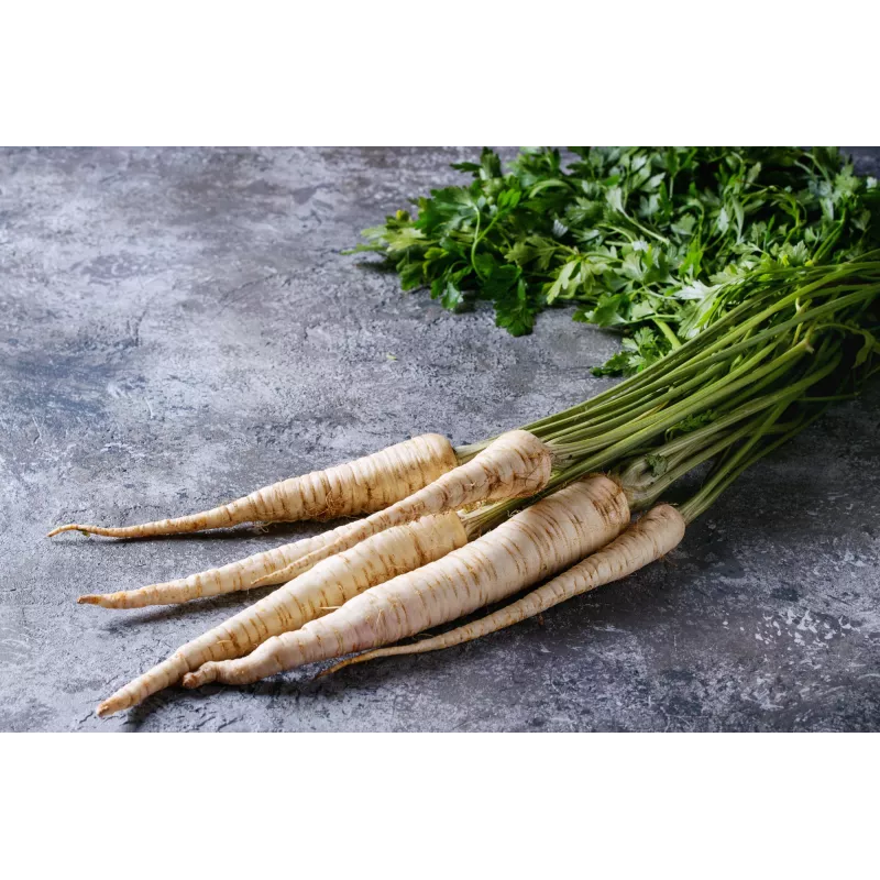 Olomouc Parsley Toraf Vegetable Seeds, 5g Package
