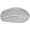 CANYON mouse MW-12 Dual band Wireless grey