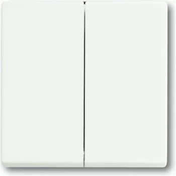 BUSCH JAEGER 1751-0-3024 - Tasten - Weiß - Kunststoff - 63 mm - 63 mm - 1 Stück(e)