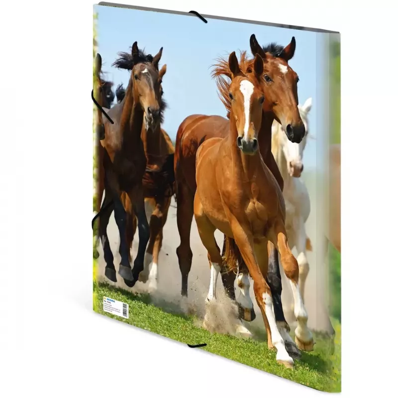 Folder Polypropylene (PP) HERMA 7145 A3 Multicolour