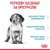 Dry dog food Royal Canin Medium Puppy 15 kg — for medium breed puppies, chicken flavor, 32% protein, 20% fat
