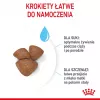 Dry Dog Food Royal Canin Starter Mother & Babydog 1 kg — Chicken, 30% protein, 22% fat