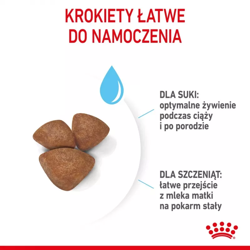 Dry Dog Food Royal Canin Starter Mother & Babydog 1 kg — Chicken, 30% protein, 22% fat