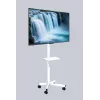 Gembird floor TV stand with caster wheels for 32 inch–55 inch, white, VESA 100x100–400x400, 30 kg