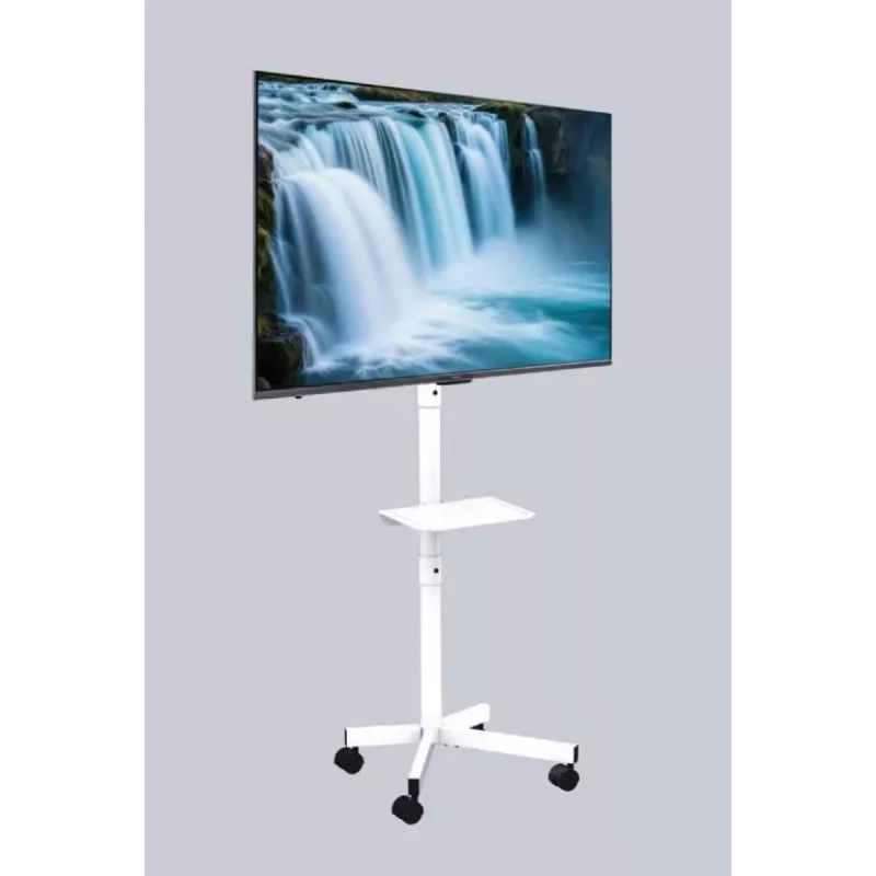 Gembird floor TV stand with caster wheels for 32 inch–55 inch, white, VESA 100x100–400x400, 30 kg
