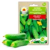 Polan F1 Cucumber PNOS Seeds on Tape, 6m Tape