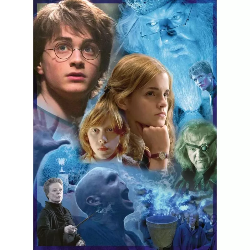 Puzzle Harry Potter in Hogwarts (500 Pieces)