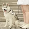 PETKIT Poop Bags