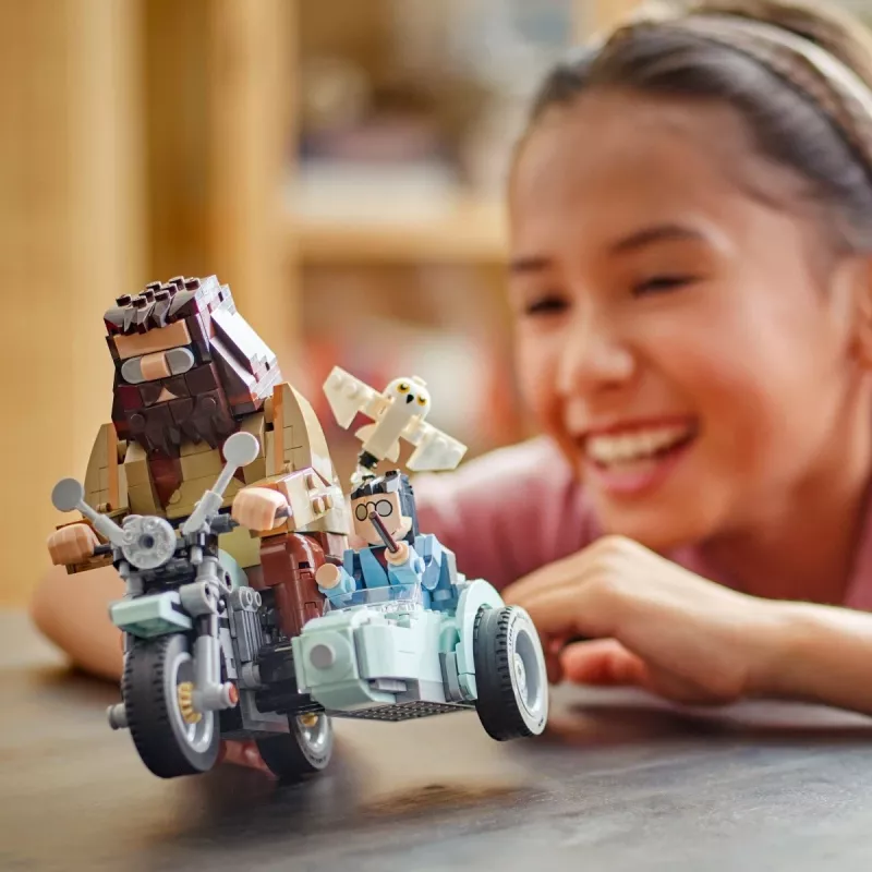 LEGO HARRY POTTER 76443 Hagrid & Harry's Motorcycle Ride