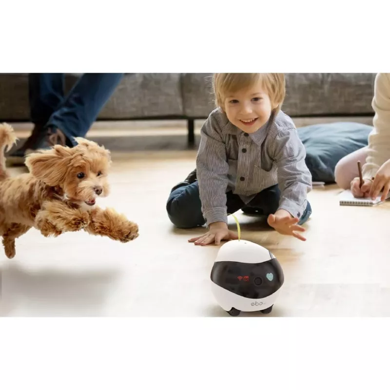 ENABOT Ebo Air AI Robot White and Black