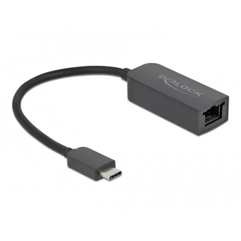 Adapter USB Type-C male to 2.5 Gigabit LAN compact DeLOCK 66645