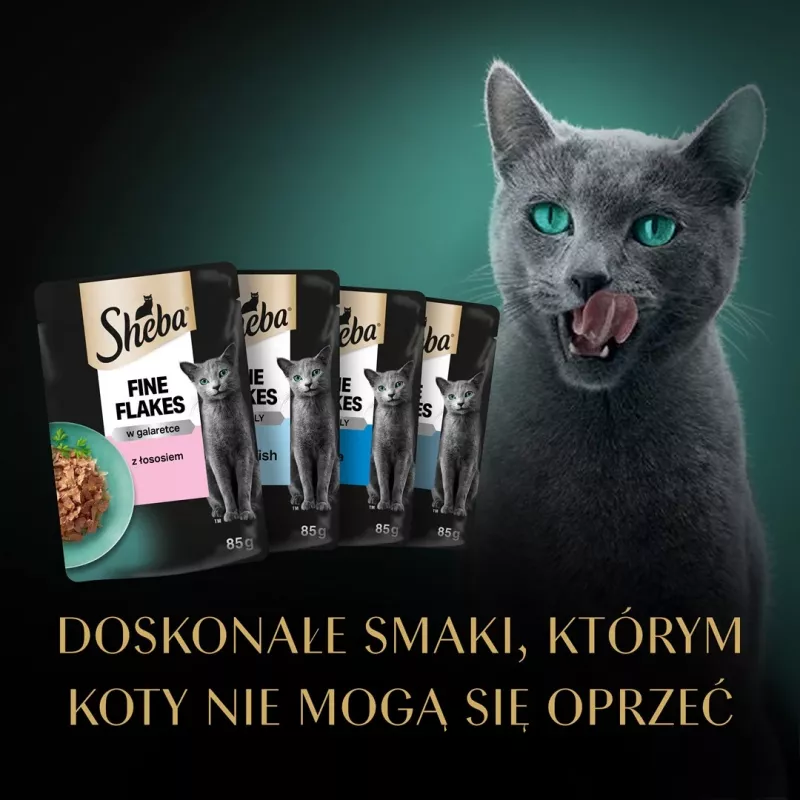 Sheba Delicacy Fishy Flavours in Jelly Wet Cat Food, 80 x 85 g
