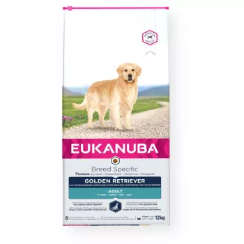 Dry dog food EUKANUBA Golden Retriever Chicken 12 kg — complete adult diet, 26% protein, 13% fat, 1.25% calcium