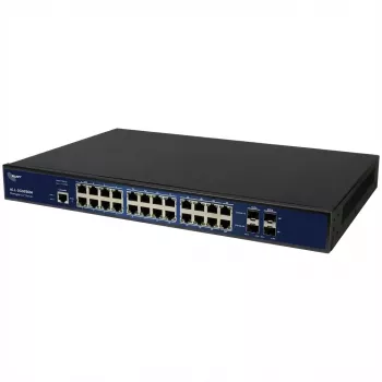 Network switch ALLNET ALL-SG8626M 22+4P (model A210804)