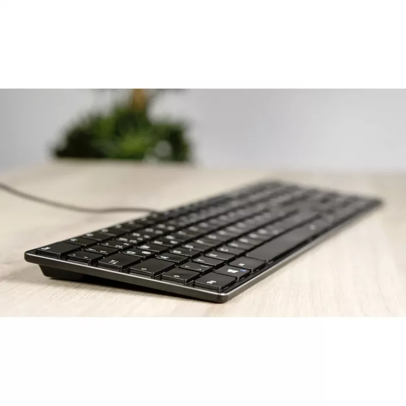 Keyboard SPEEDLINK SL-640010-BK USB German Black Full-size 110 keys
