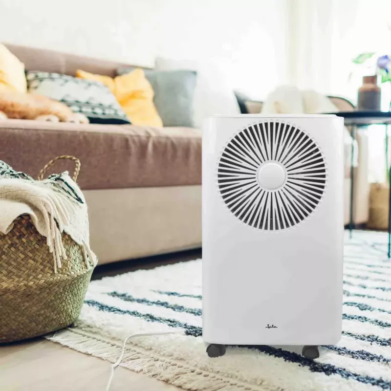 Dehumidifier Jata JEHU2413 2 L 210 W 42 dB 230 V White 270×205×408 mm