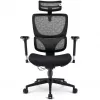 Office chair Sharkoon OfficePal C40 — black, ergonomic design, adjustable height