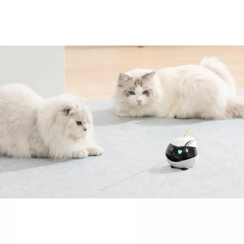 ENABOT Ebo Air AI Robot White and Black