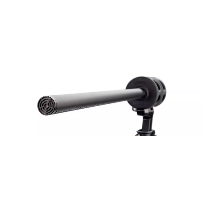Microphone RØDE NTG8