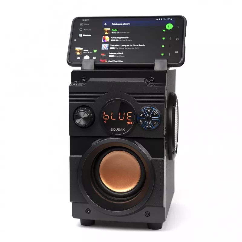 Squeak Bassblaster Bluetooth 5.1 Speaker, Fm Radio, Mp3 Player Sq1001