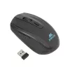 Briefcase Rivacase 8038 Wireless Mouse 39.6 cm (15.6 inch) Black