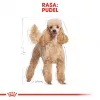 Dry Dog Food Royal Canin Poodle Adult 1.5 kg — Chicken, 30% Protein, 19% Fat