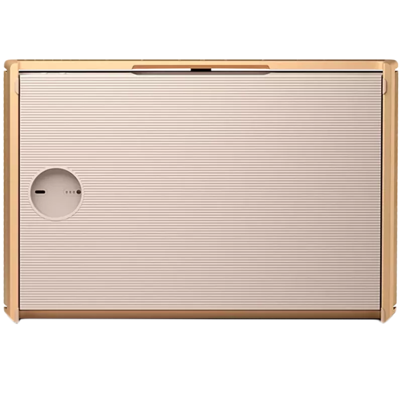 Beosound Level Speaker Gold Tone Alu (Cover Light Oak)