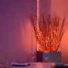 LED garland Twinkly TWD200STP-TEU multicolour indoor strip, 5 cm spacing, IP20, transparent cable