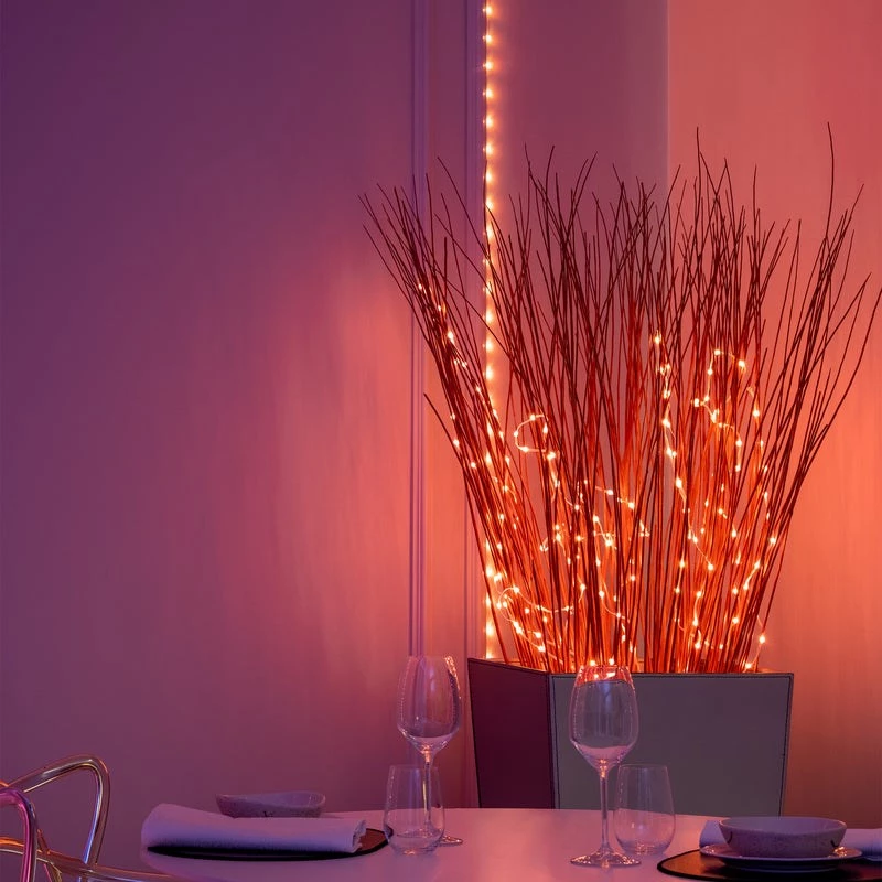 LED garland Twinkly TWD200STP-TEU multicolour indoor strip, 5 cm spacing, IP20, transparent cable