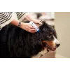 Ear cleansing solution VIRBAC EPI-OTIC S-I-S for dogs and cats 60 ml