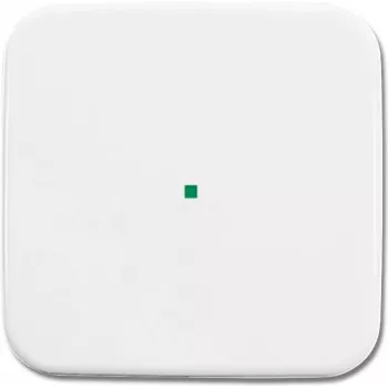 Busch-Jaeger 6220-0-0078 Cover Plate for Sensor Holder & -Socket White (2CKA006220A0078)