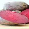 Seed tape — Apte beet (red) Opolski cylindrical, 6 m roll, ready-to-sow