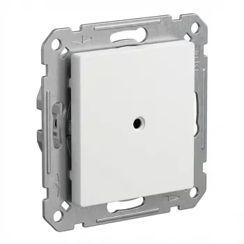 BUSCH JAEGER BJ 2538-915 Blindzentralscheibe mit Tragring Busch-balance SI (2CKA001715A0321)