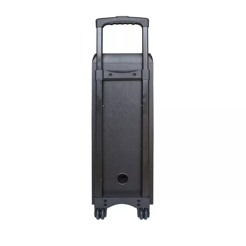 Portable Speaker Manta SPK5220, Black