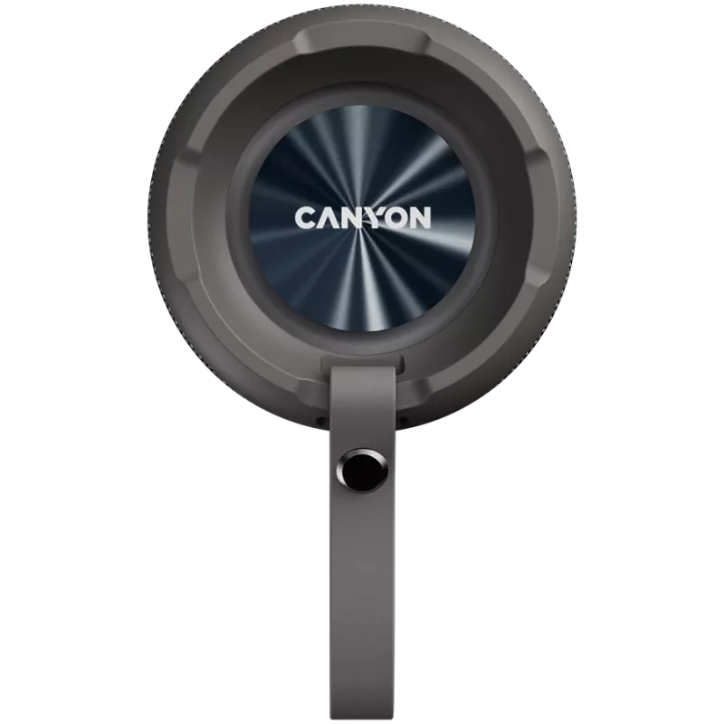 Canyon CNE-CBTSP15BG Portable Speaker Beige