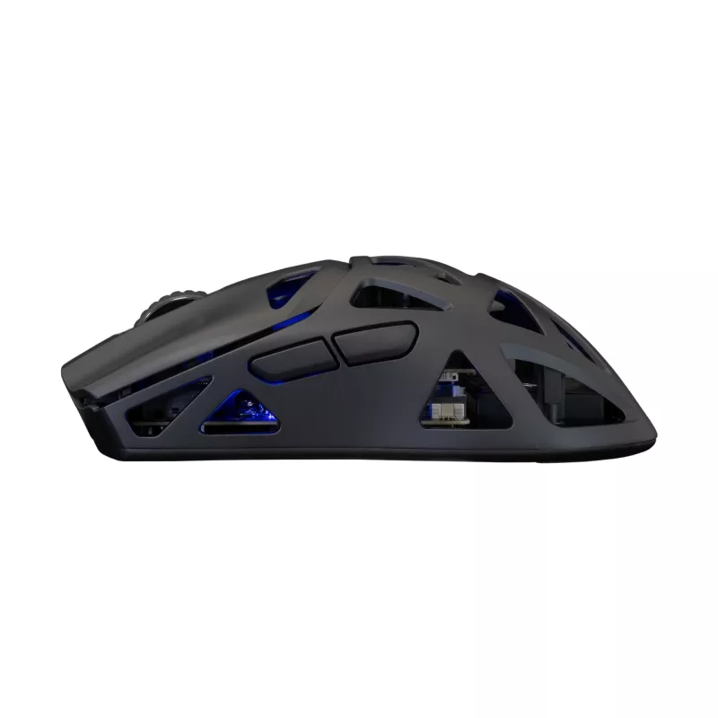 White Shark WGM-5019 Dagonet Wireless 24000 dpi Black